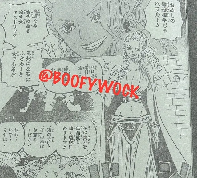 Estrida in One Piece