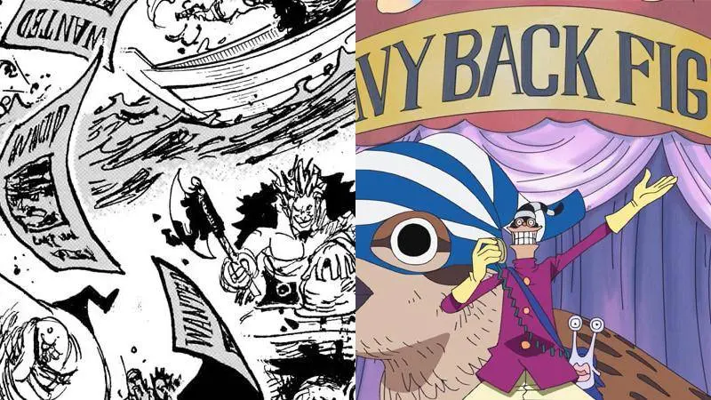 Origin of Davy Back Fight