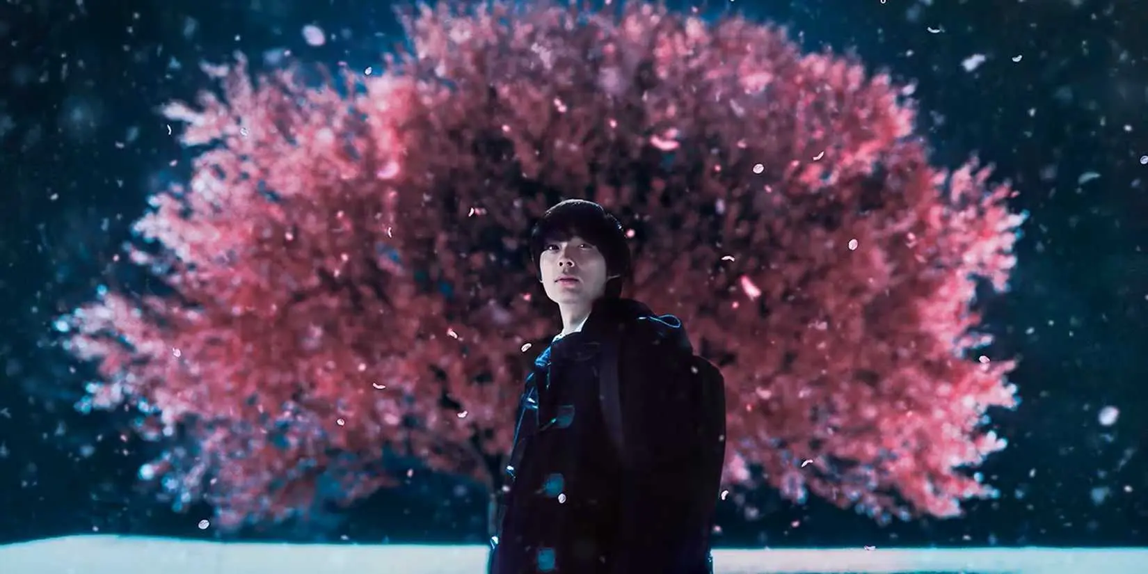 Hokuto Matsumura in the live-action adaptation of 5 Centimeters Per Second