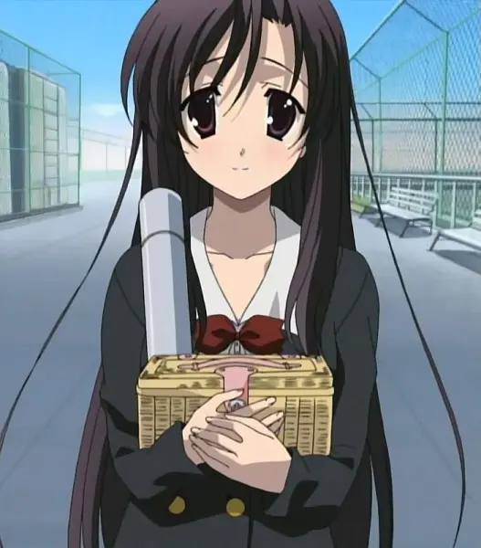 Kotonoha Katsura from School Days