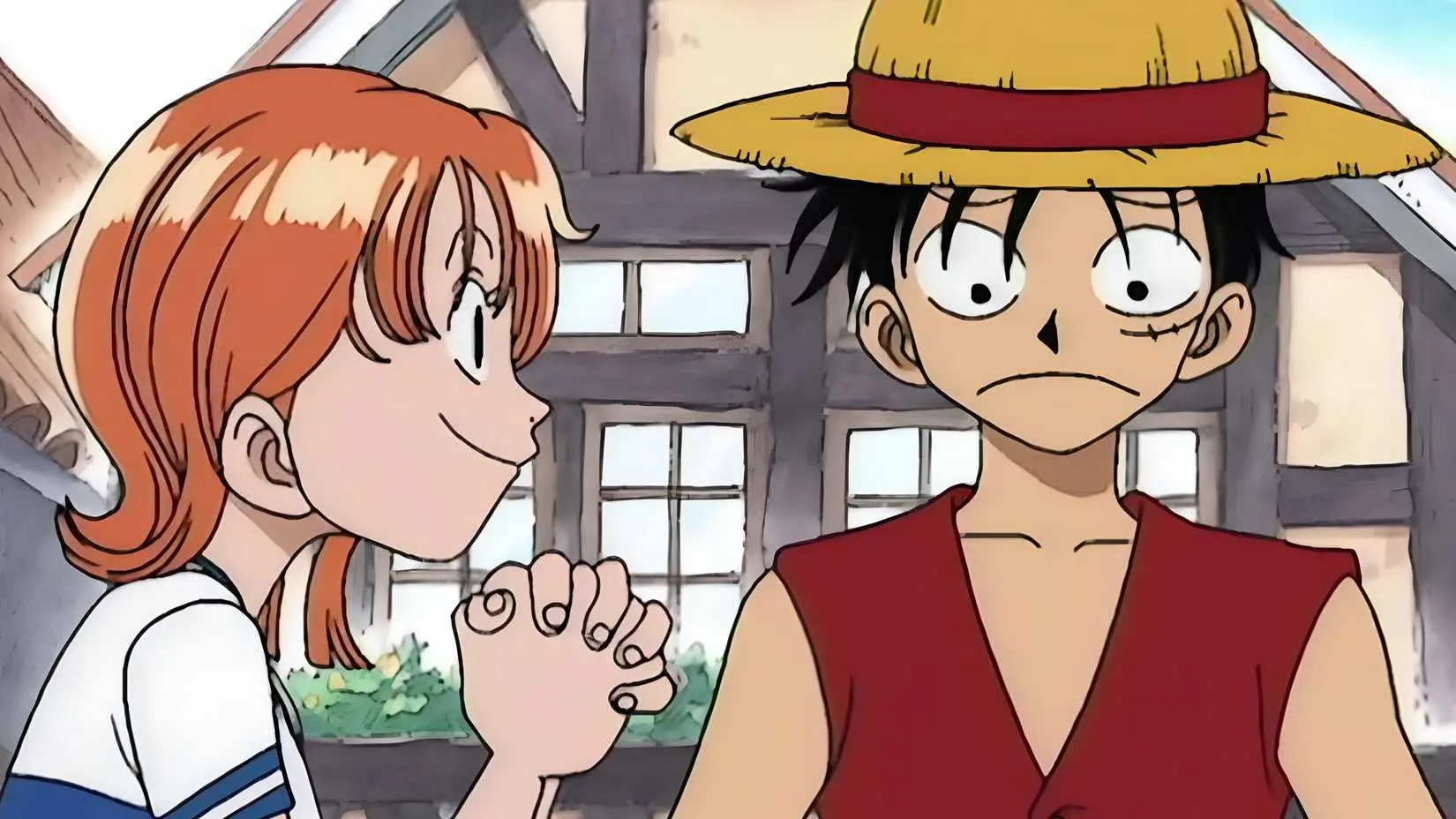 Nami looking at Luffy in One Piece
