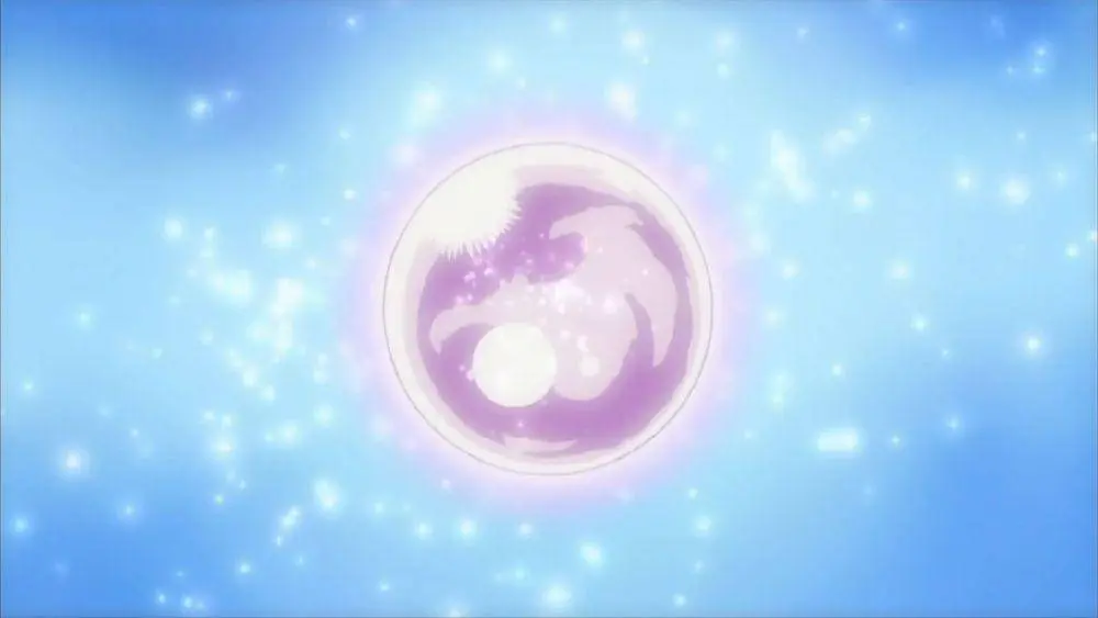 Shikon Jewel