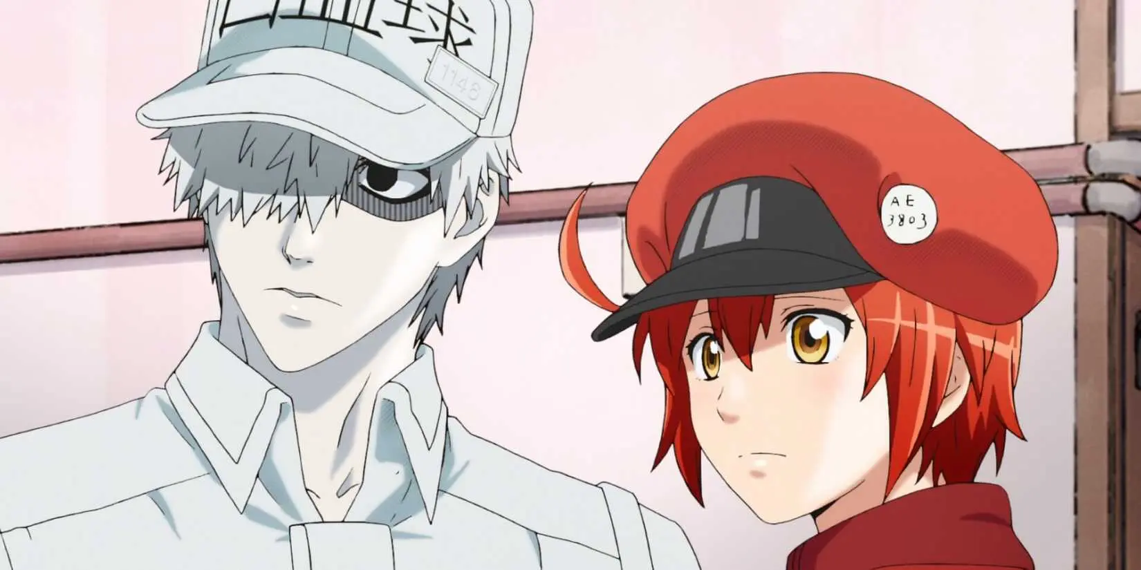 Two blood cells in the anime Cells at Work!