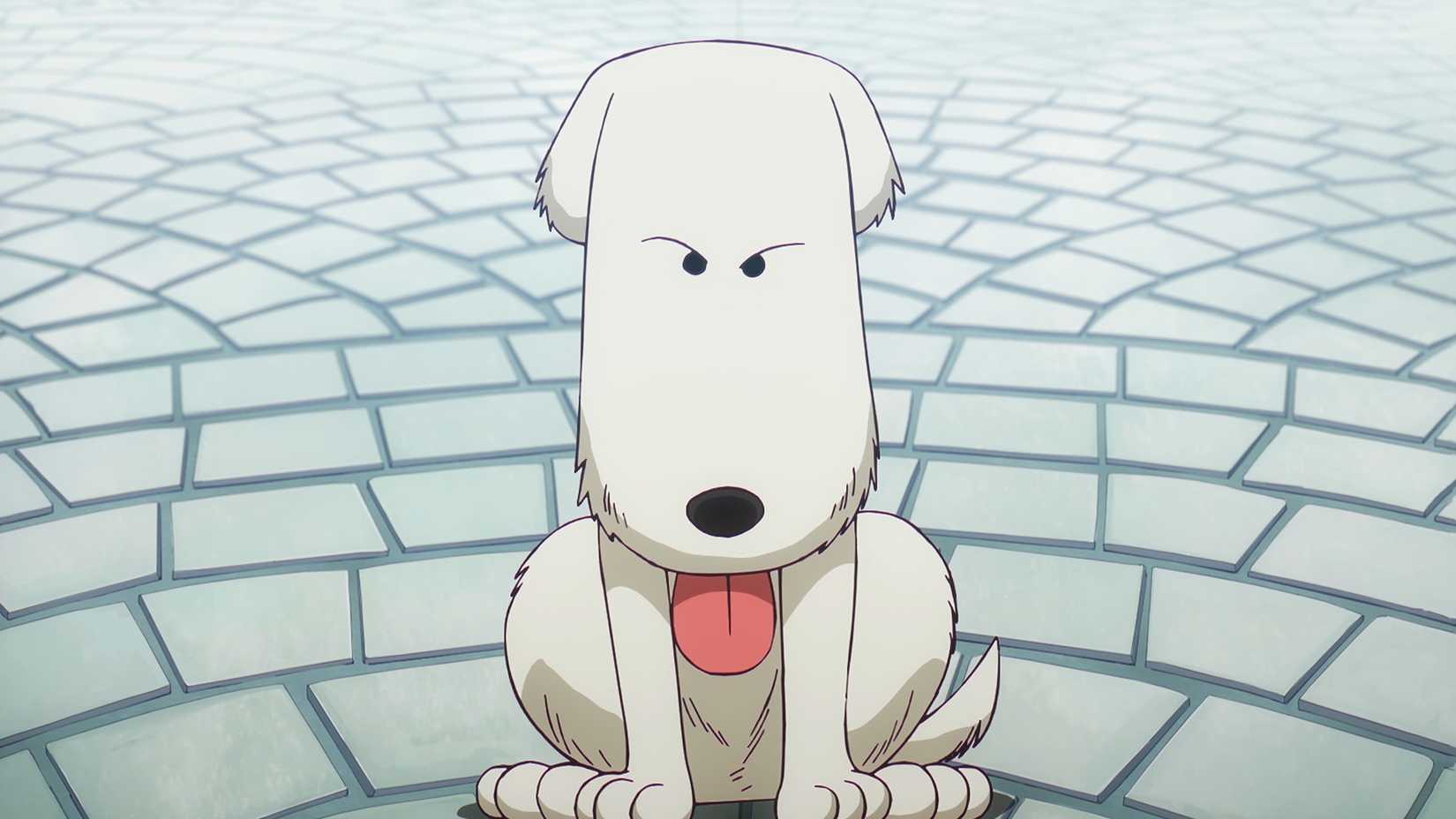 Chouchou from One Piece