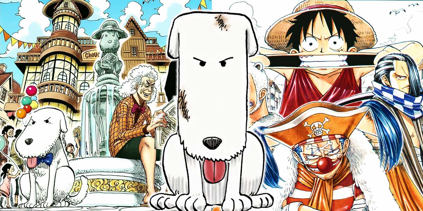 Chouchou from One Piece