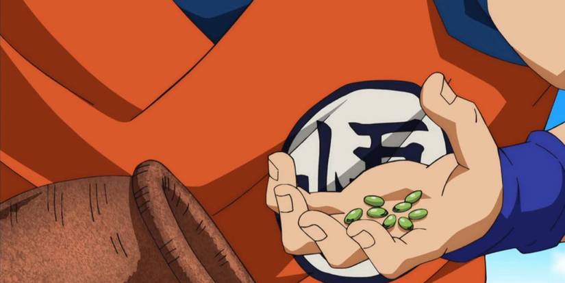 Senzu Bean
