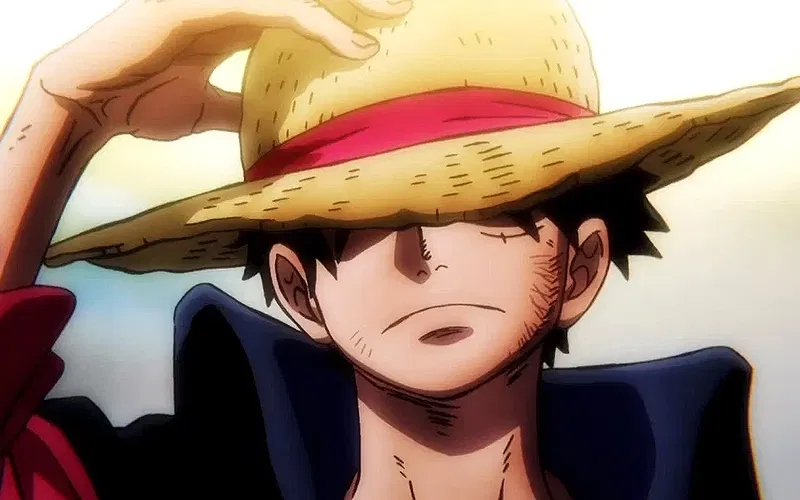 Monkey D. Luffy wearing his straw hat