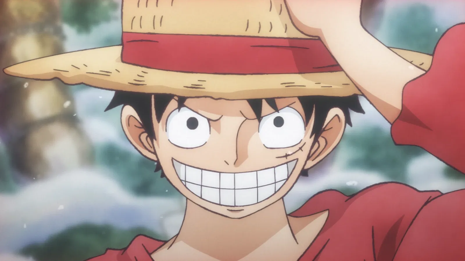 Luffy in One Piece