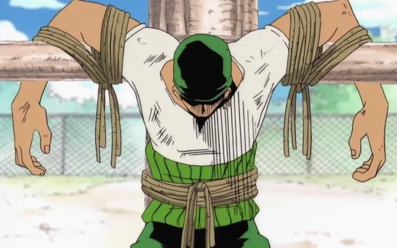 Zoro in One Piece