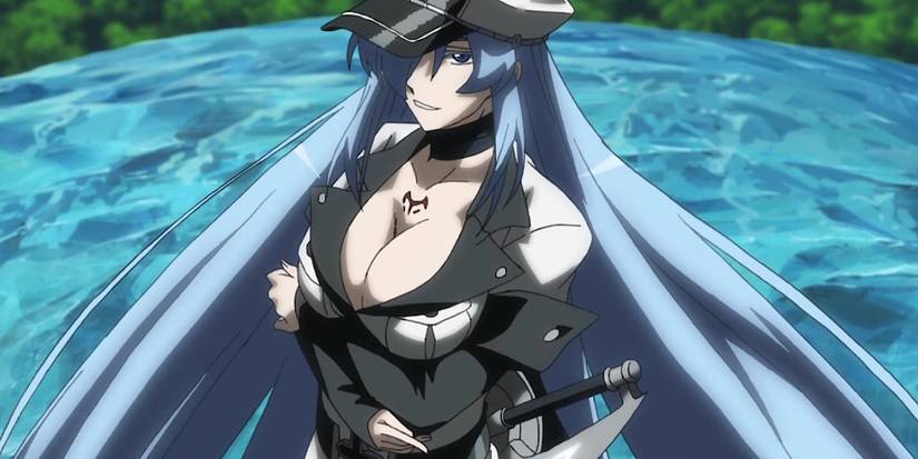 Akame Ga Kill anime