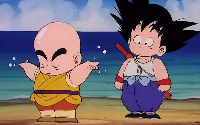 Krillin and Goku