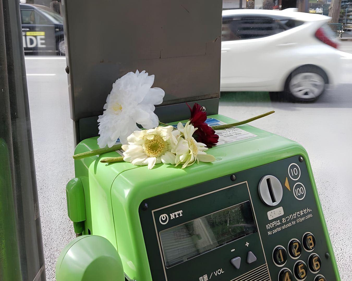 Chainsaw Man phone booth covered in flowers