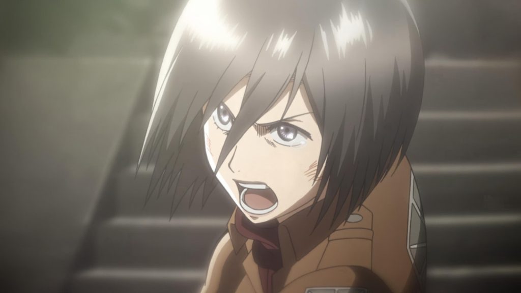 Mikasa Ackerman from Attack on Titan