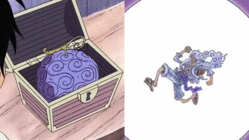 One Piece Nika Devil Fruit