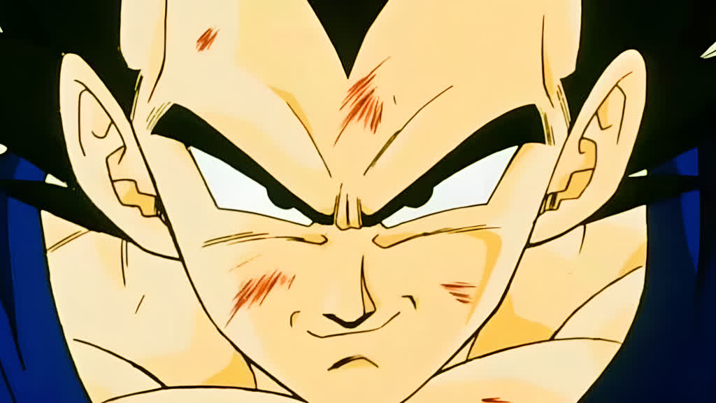 Vegeta from Dragon Ball