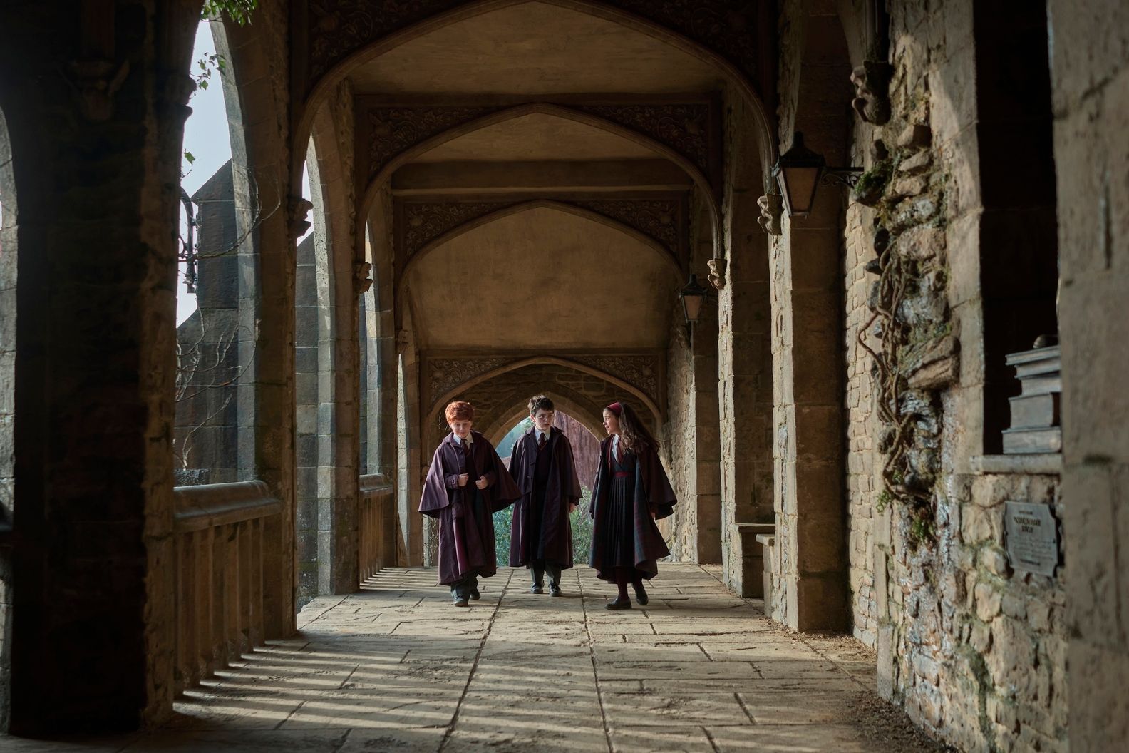 Harry, Ron, and Hermione cast together