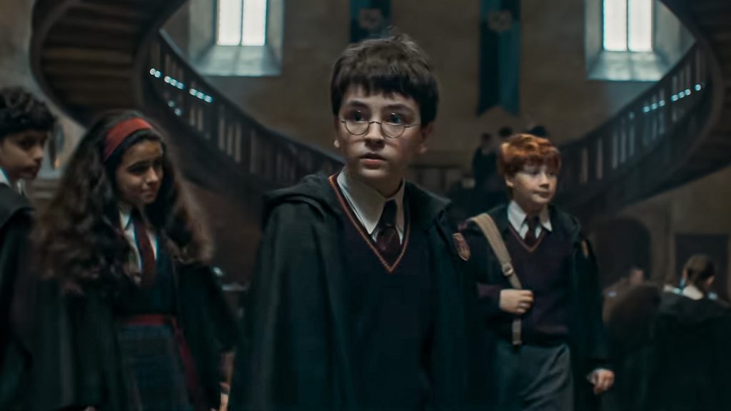 Harry Potter HBO series cast