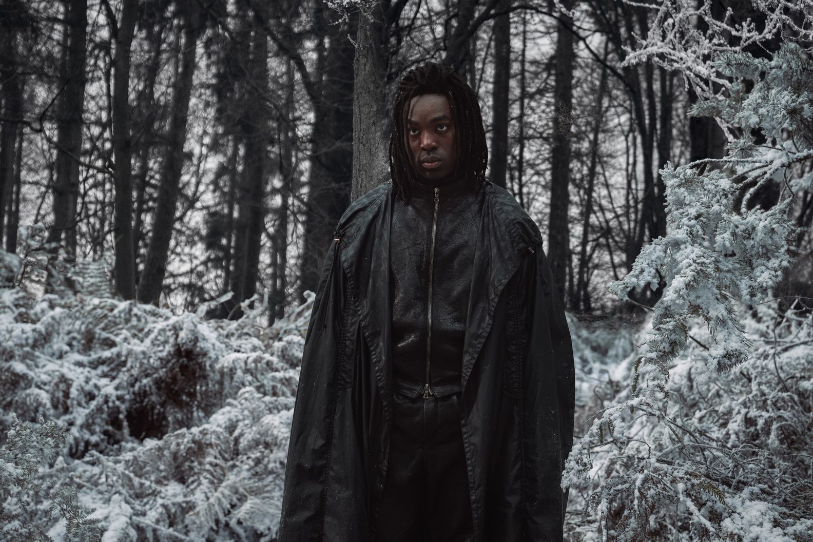 Paapa Essiedu as Albus Dumbledore