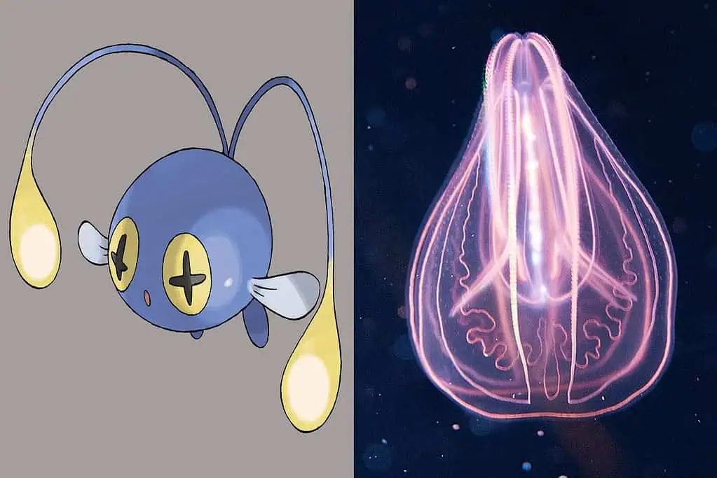 Chinchou, anglerfish, comb jellies, and firefly squid share bioluminescent mechanisms used for luring prey or counter-illumination camouflage in the deep sea.