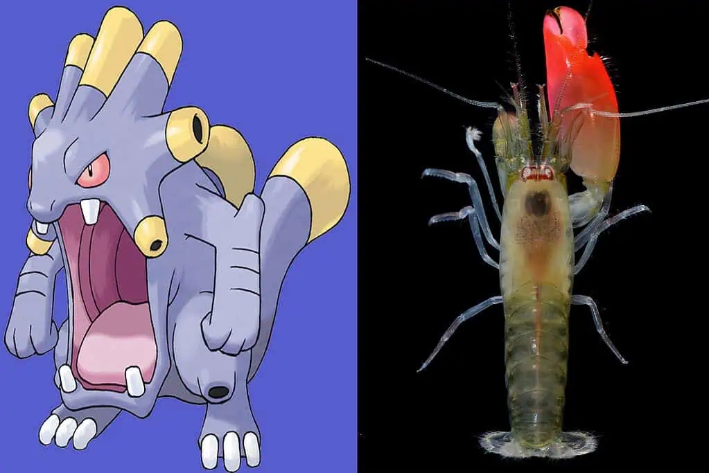 Pistol shrimp attack by snapping claws to create cavitation bubbles reaching thousands of degrees Celsius, similar to Exploud's sound attacks.