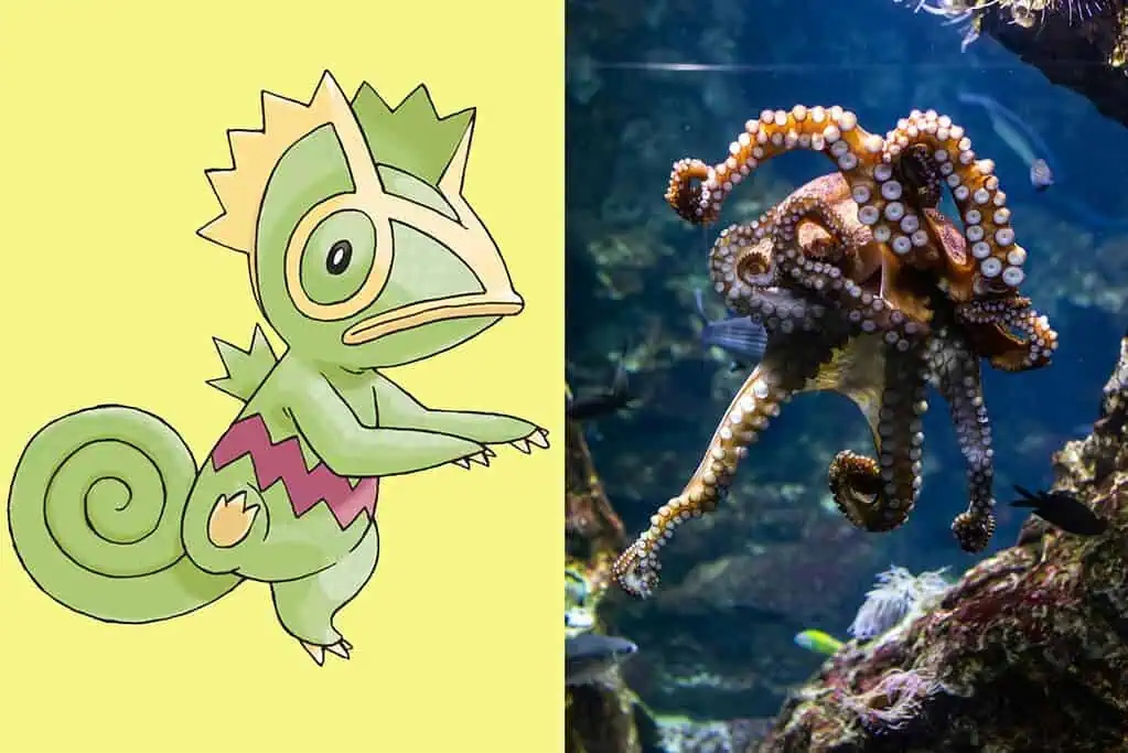 Cuttlefish and octopuses use chromatophore pigment cells to blend into their surroundings, reminiscent of Kecleon's invisibility.