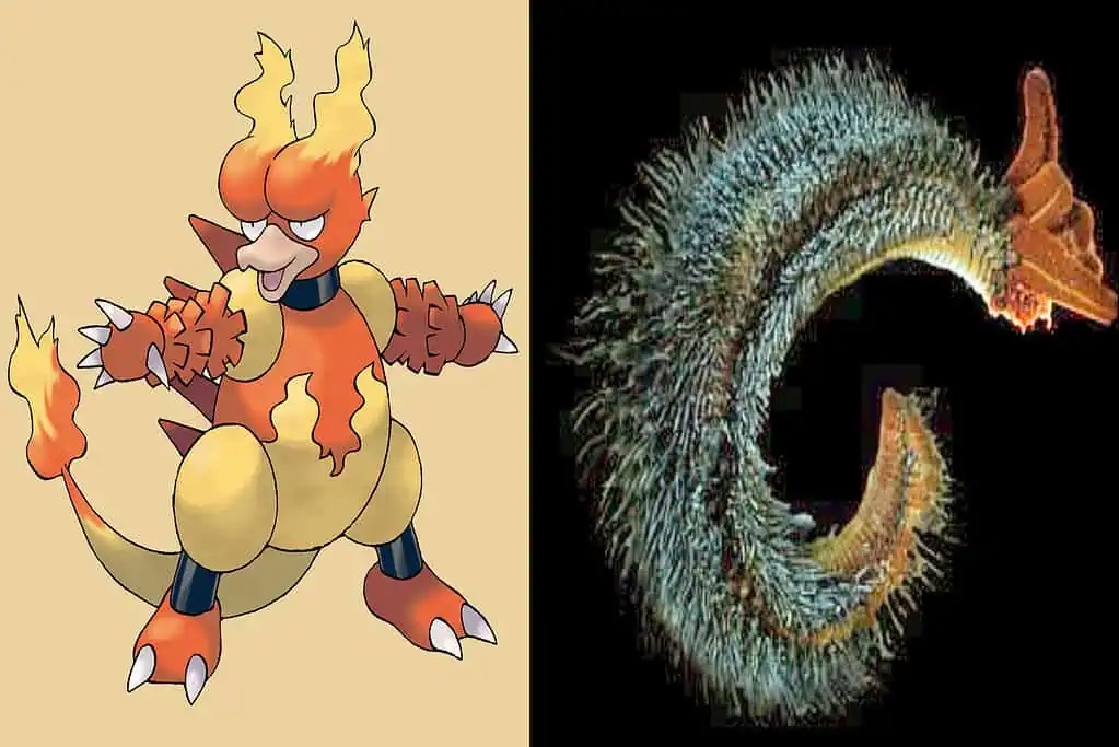 Pompeii worms survive near hydrothermal vents at 80°C, reflecting Magmar's extreme heat resistance.