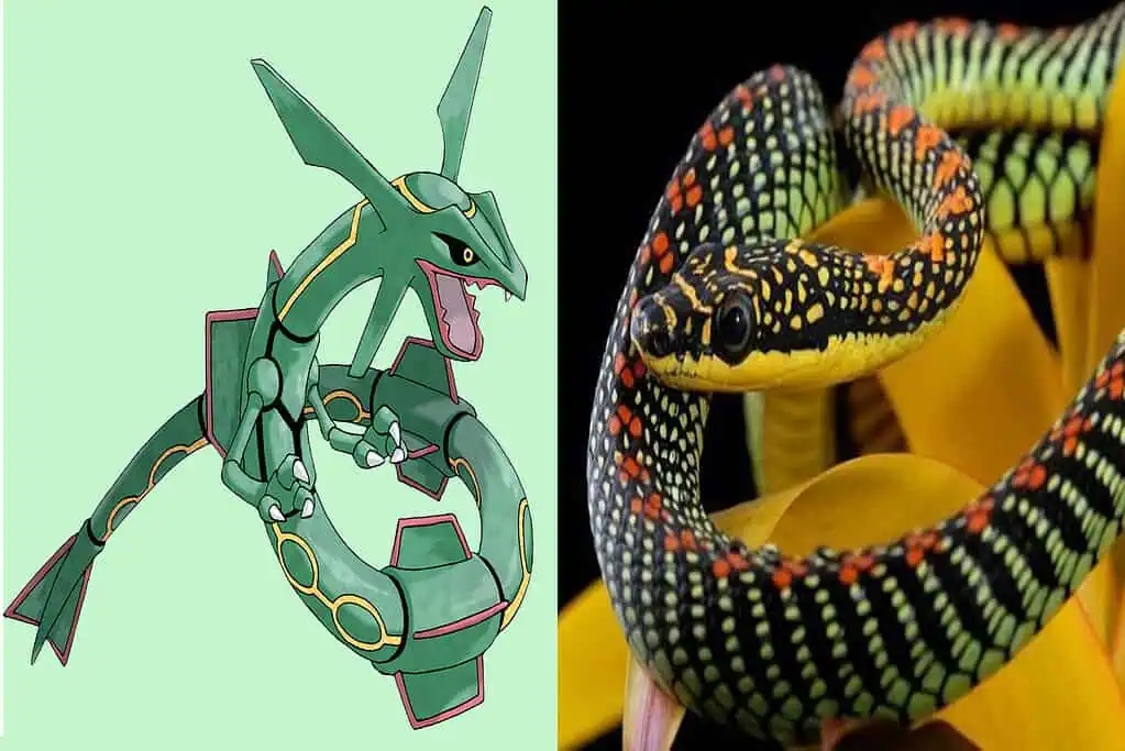 Flying snakes glide by bending their bodies and using air pressure differences, similar to Rayquaza's flight without wings.