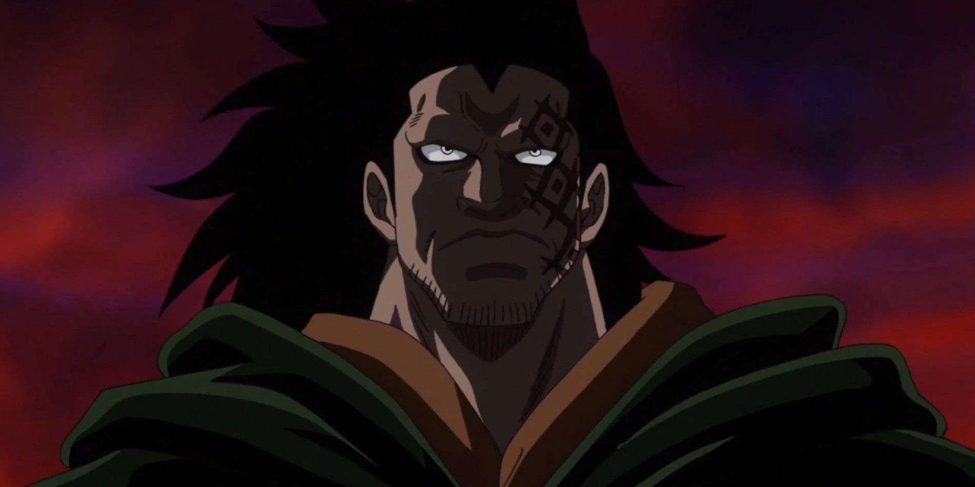 Monkey D. Dragon in One Piece