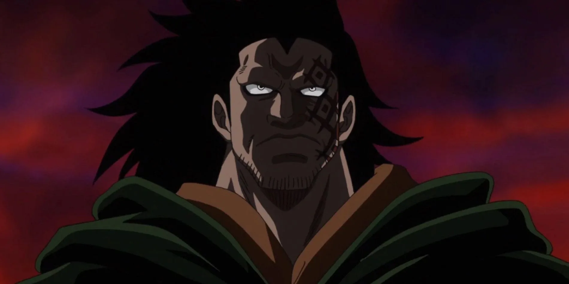 Monkey D. Dragon in One Piece