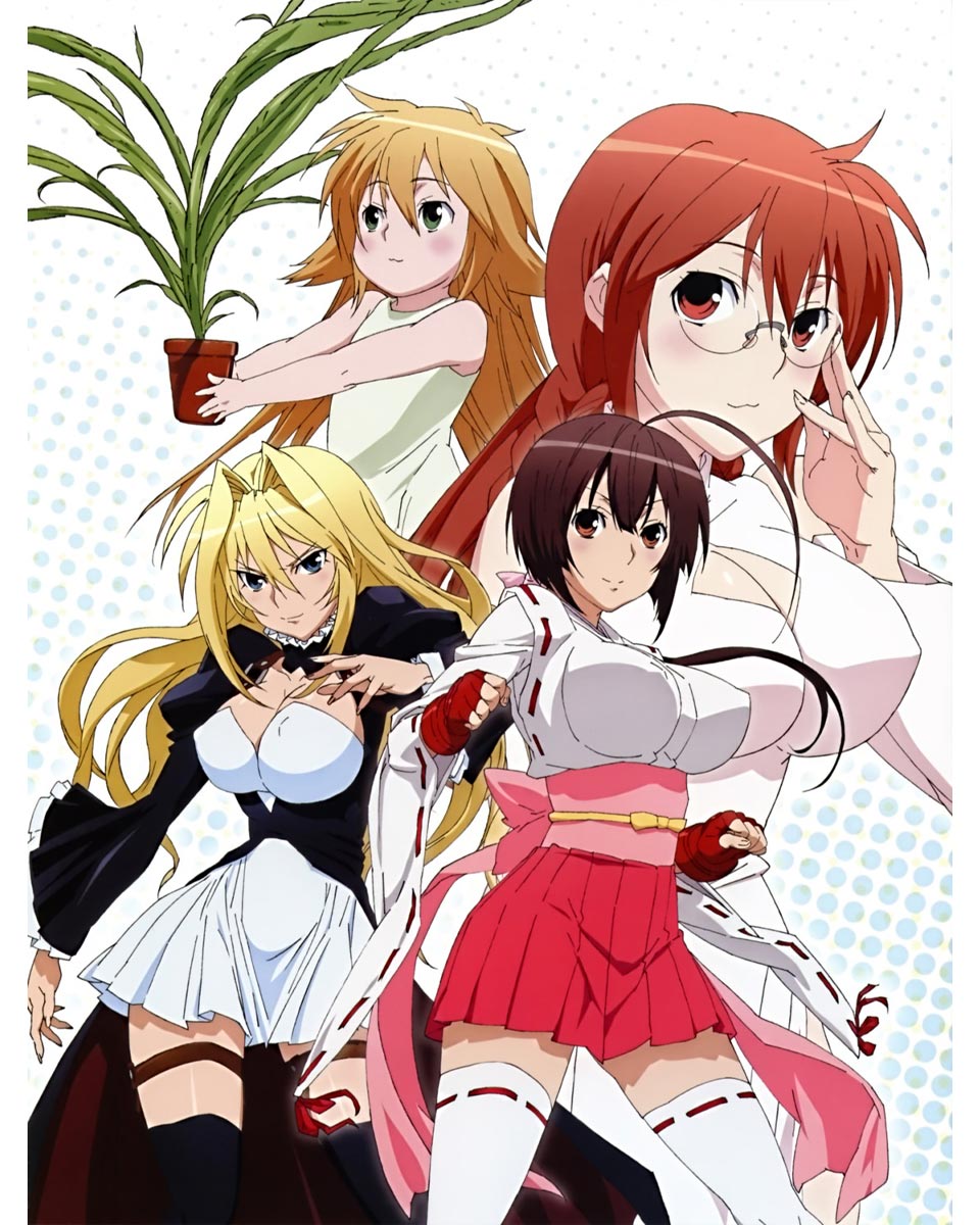 Sekirei anime battle scene