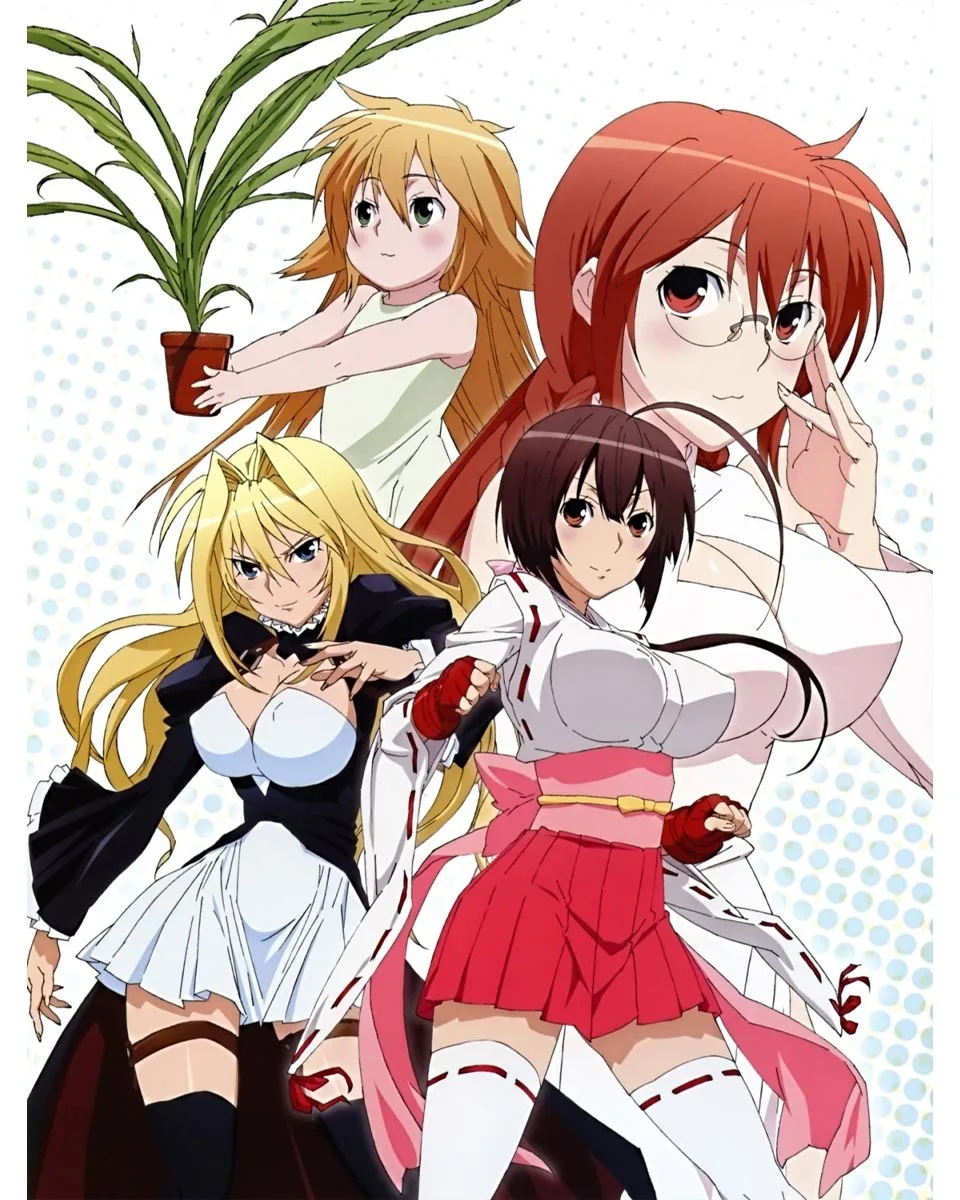 Sekirei anime battle scene