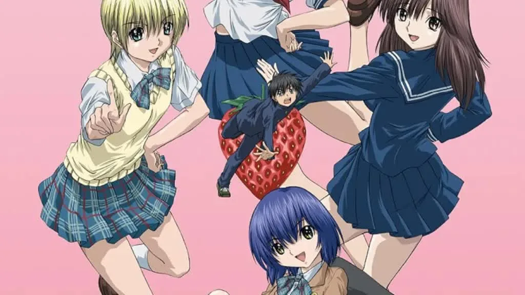 Strawberry 100% anime cover