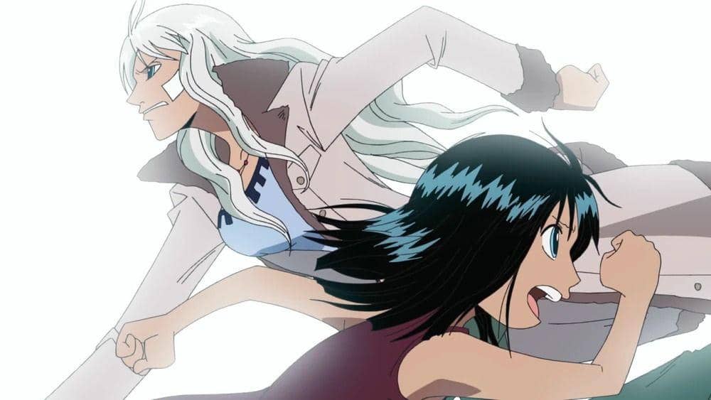 Nico Olvia and Nico Robin birthdays and bounties
