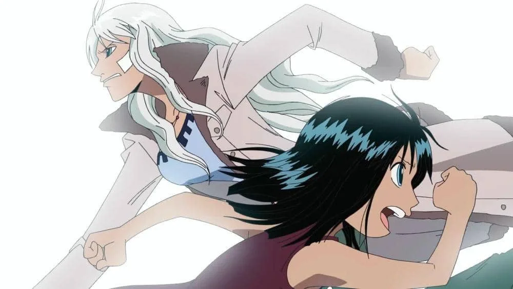 Nico Olvia and Nico Robin birthdays and bounties