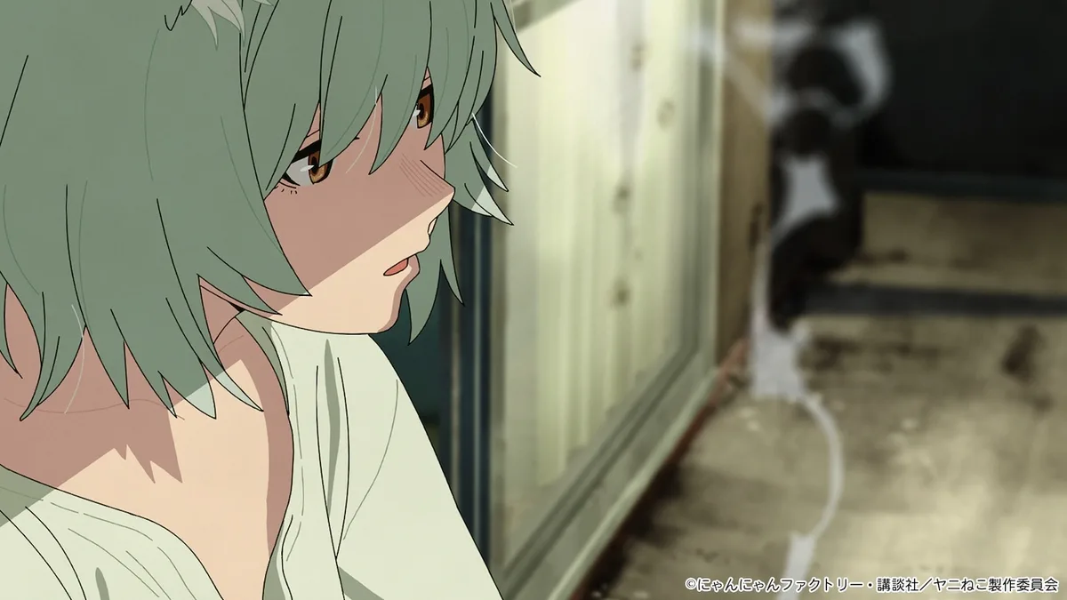 Chainsmoker Cat scene