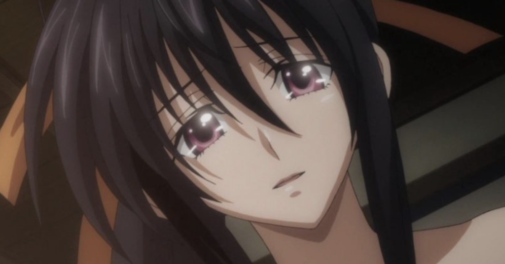 High School DxD anime cover