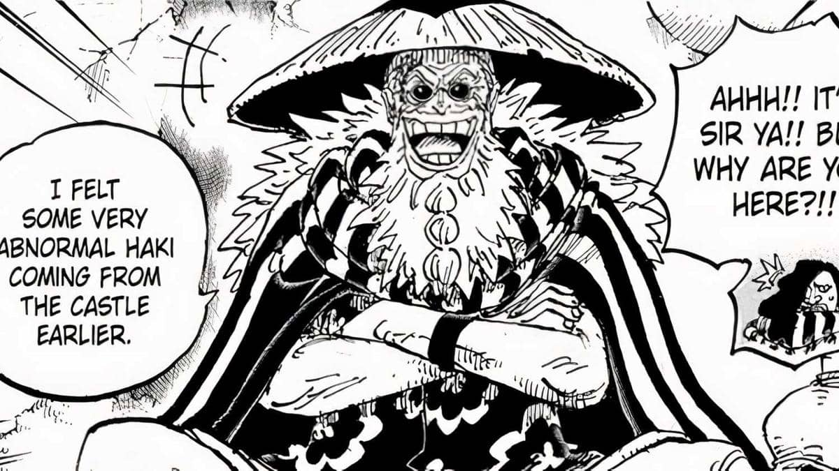 Rayleigh and Gaban appearances in One Piece