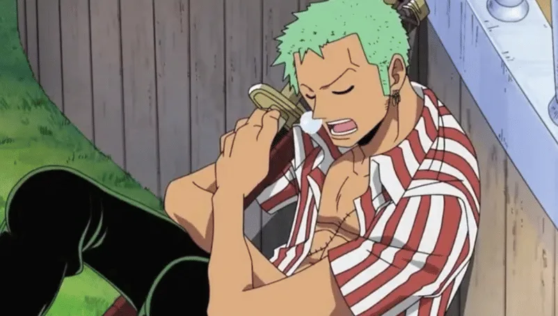 Zoro's bluntness causes trouble