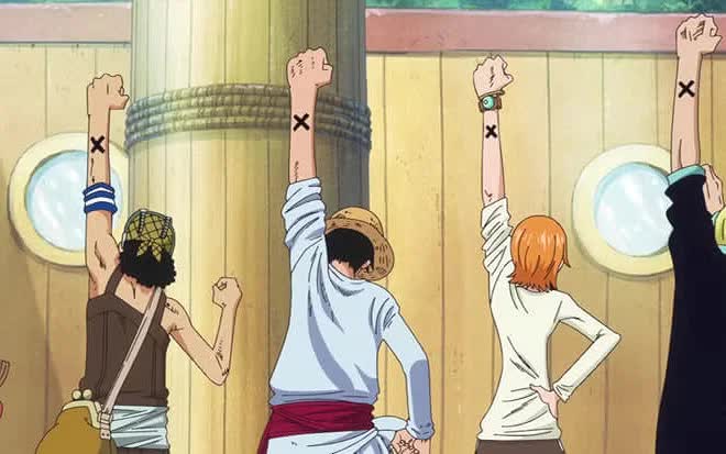 Vivi and the Straw Hats in One Piece