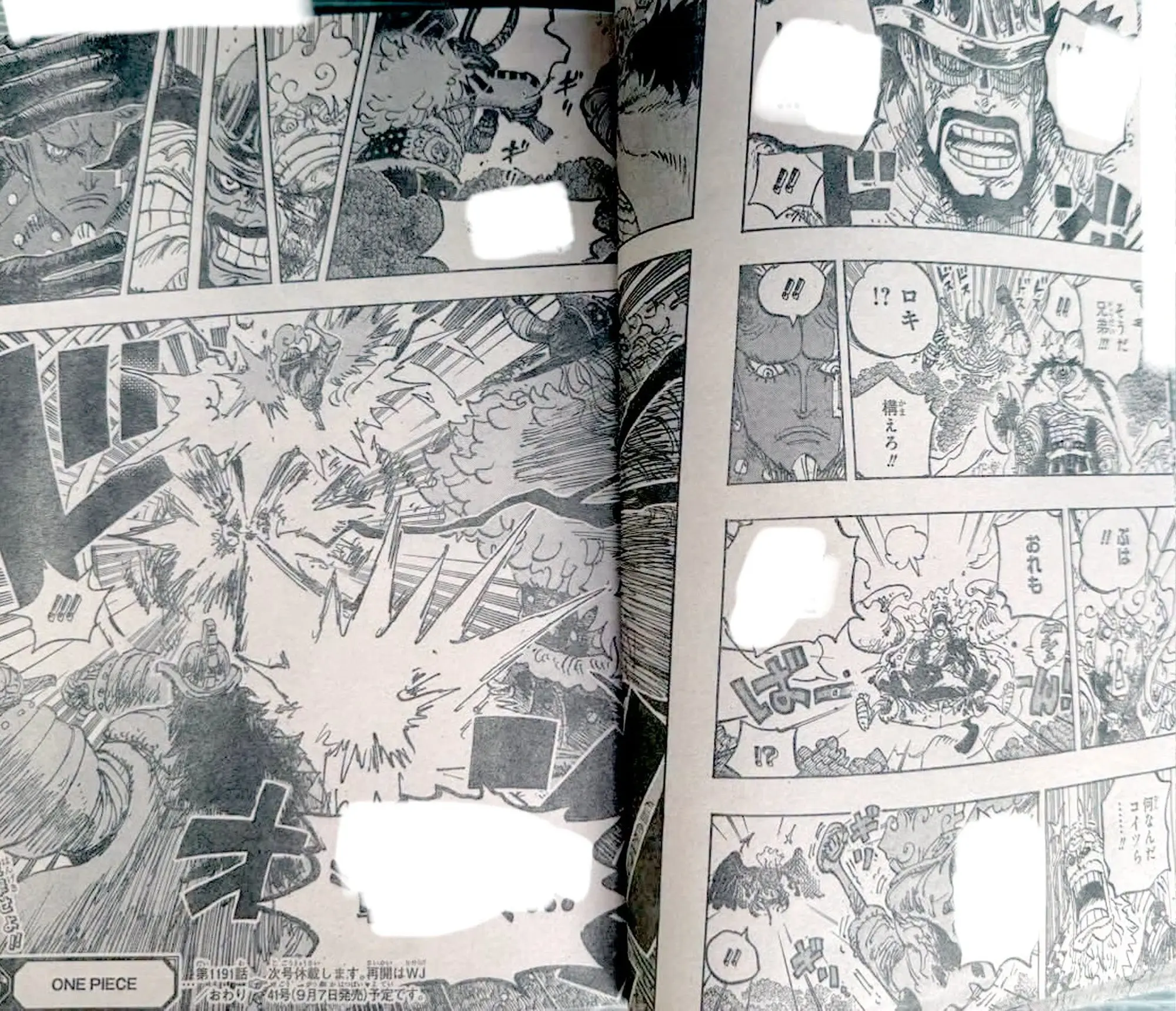 Hajrudin stands firm to protect Luffy and Gaban