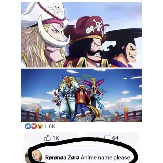 Zoro asking for his anime's name